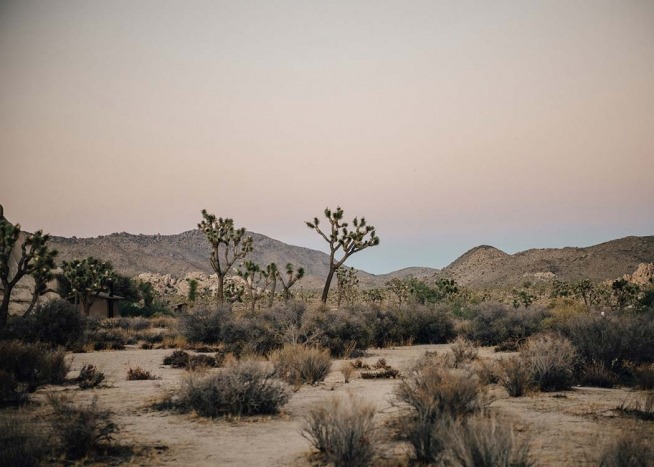 Mojave Desert Affiche / Nature chez Desenio AB (2888)