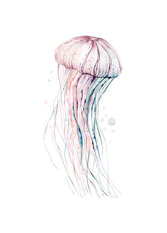 Aquarelle Jellyfish Affiche / Insectes et animaux chez Desenio AB (2905)