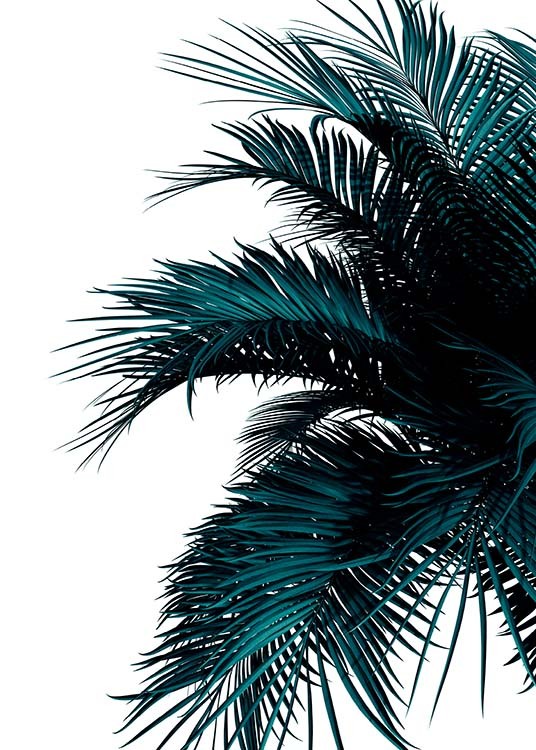 Green Palm Tree Affiche / Botanique chez Desenio AB (2907)