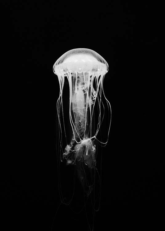 Jellyfish B&W Affiche / Noir et blanc chez Desenio AB (2917)