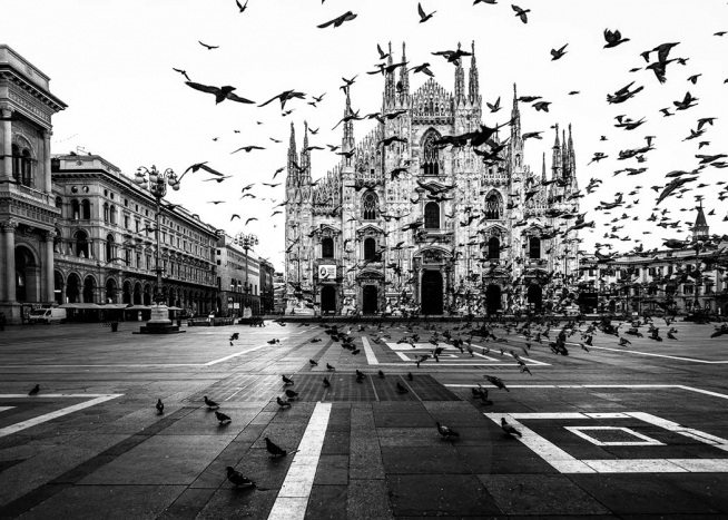 Duomo Di Milano Affiche / Noir et blanc chez Desenio AB (2994)