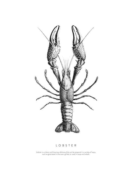 Lobster No1 Affiche / Noir et blanc chez Desenio AB (3161)