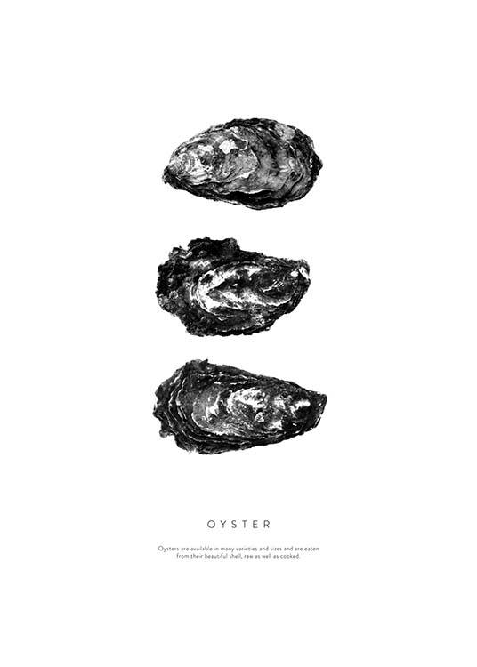 Oyster Three Affiche / Noir et blanc chez Desenio AB (3165)