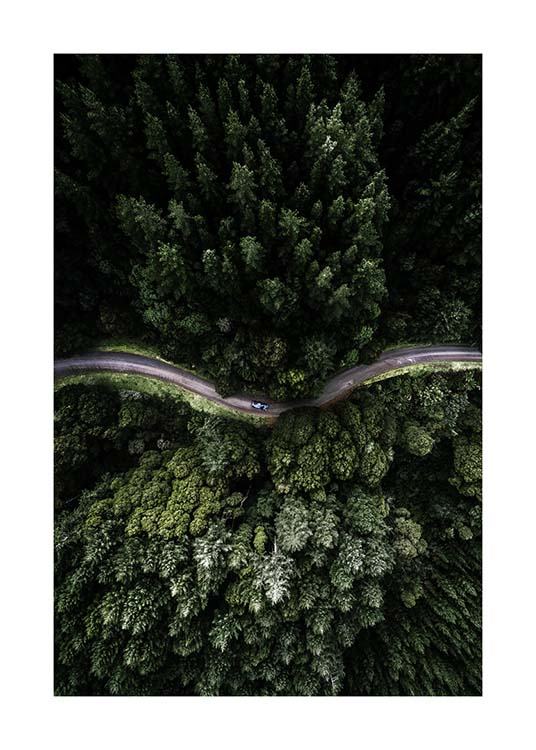 Forest Road Affiche / Nature chez Desenio AB (3575)