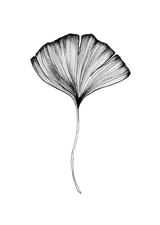 Ginkgo Leaf Affiche / Noir et blanc chez Desenio AB (3599)