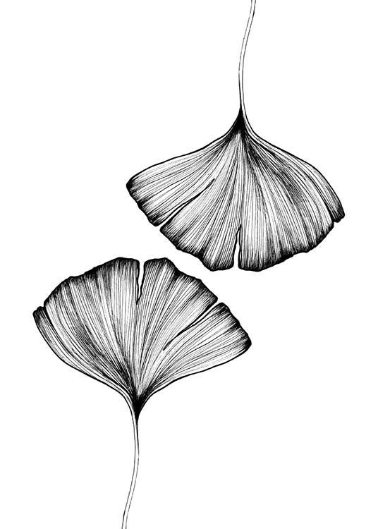 Ginkgo Leaves Affiche / Noir et blanc chez Desenio AB (3600)