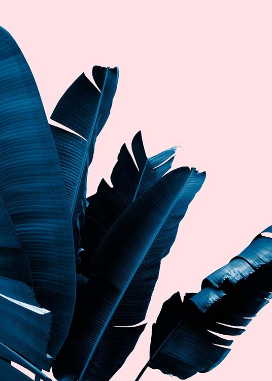 Blue Leaves On Pink No5 Affiche / Photographie chez Desenio AB (3798)