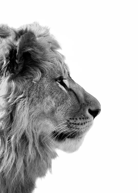 Beau Poster Avec Un Lion Desenio Fr