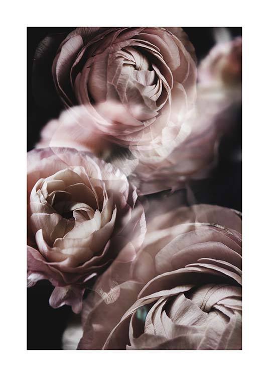 Fairy Tale Flower No2 Affiche / Photographie chez Desenio AB (3920)