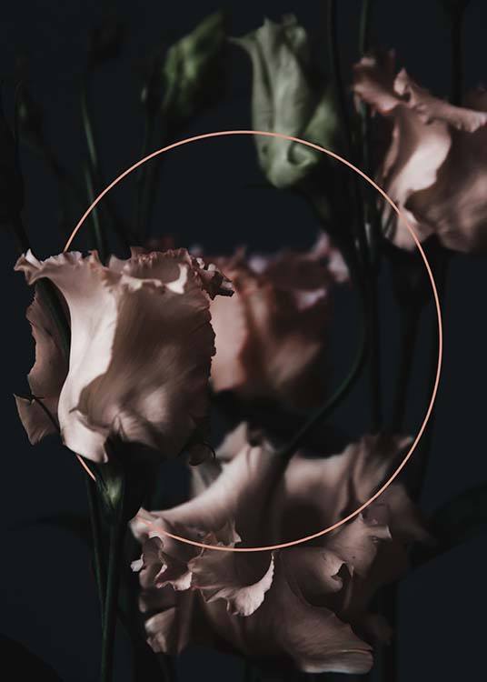 Flowers In Circle Affiche / Photographie chez Desenio AB (3922)