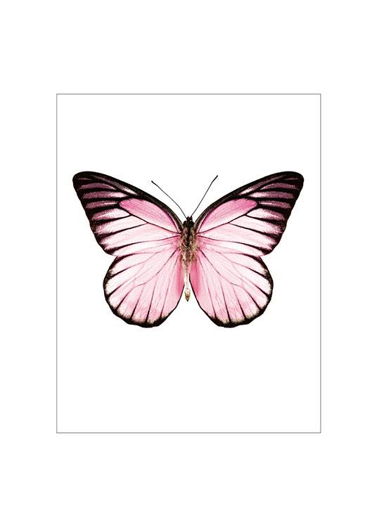 Poster Affiche Avec Papillon Rose Desenio Fr