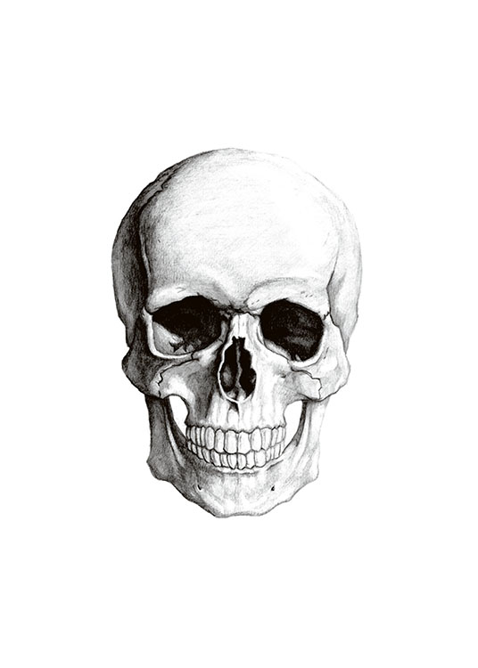 Vintage Skull, Poster / Vintage chez Desenio AB (7459)