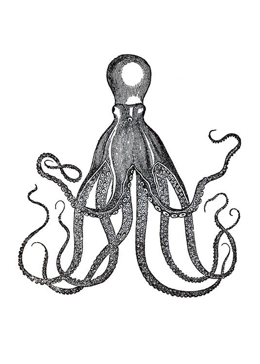 Vintage Octopus, Poster / Vintage chez Desenio AB (7470)
