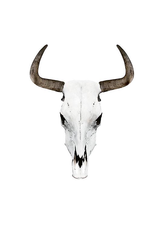 Buffalo Horns, Poster / Vintage chez Desenio AB (7620)