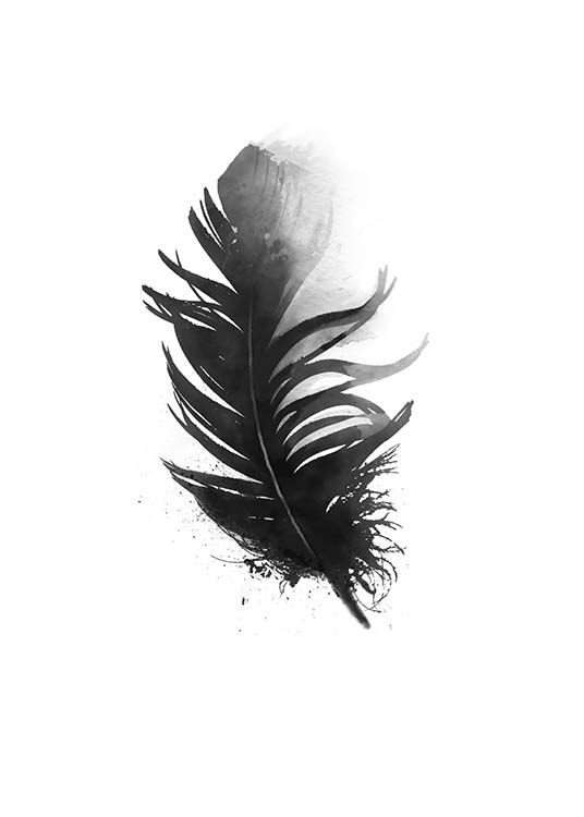 Black Feather Aquarell, Poster / Noir et blanc chez Desenio AB (7801)