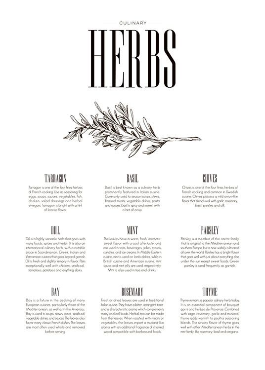 Herbs Type, Poster / Affiches cuisine chez Desenio AB (7849)