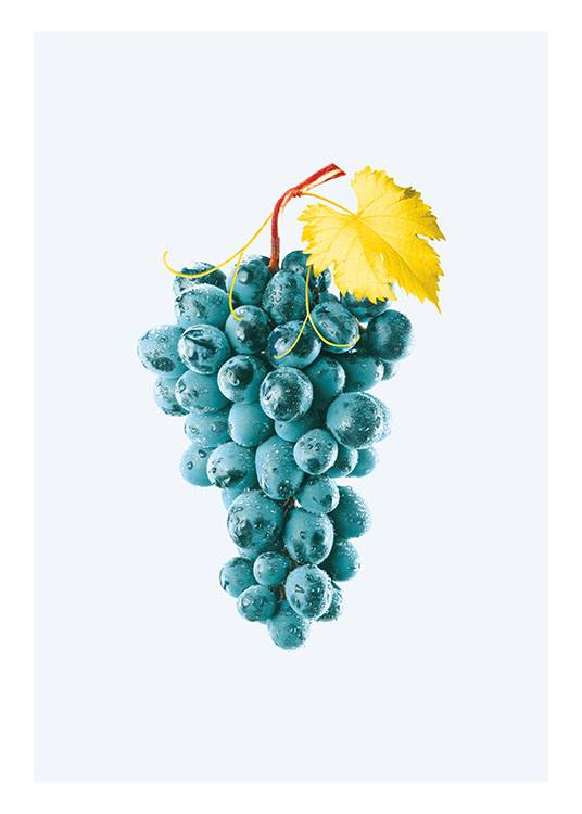 Blue Grapes, Affiche / Art chez Desenio AB (8209)