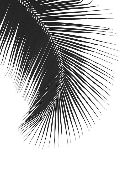 Black Palm Leaf, Affiche / Noir et blanc chez Desenio AB (8242)