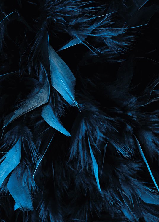 Blue Feathers, Affiche / Photographie chez Desenio AB (8483)