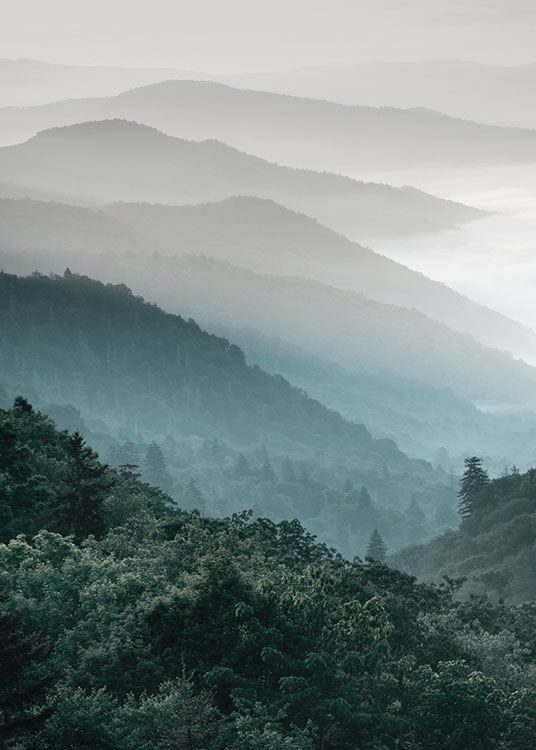  – Photographie d’un paysage avec des forêts et des montagnes avec du brouillard à l'arrière-plan