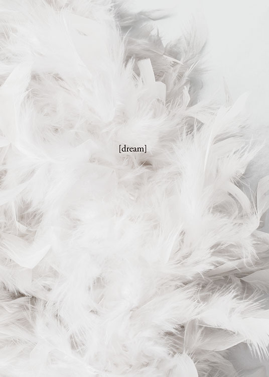 – Photographie d’un tas de plumes blanches avec le mot « Dream » au milieu