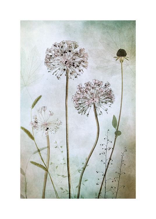 Allium Poster / Photographie chez Desenio AB (8680)