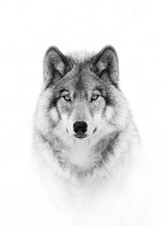 Wolf Poster / Noir et blanc chez Desenio AB (8693)