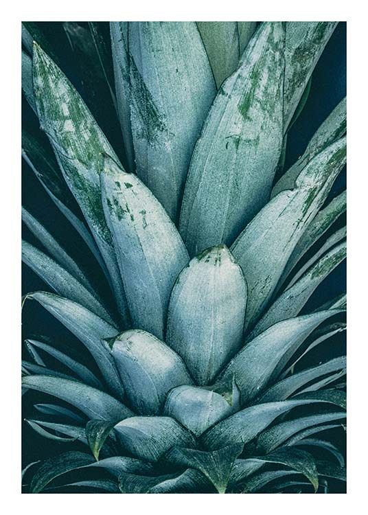 Pineapple Crown Affiche / Affiches cuisine chez Desenio AB (8811)