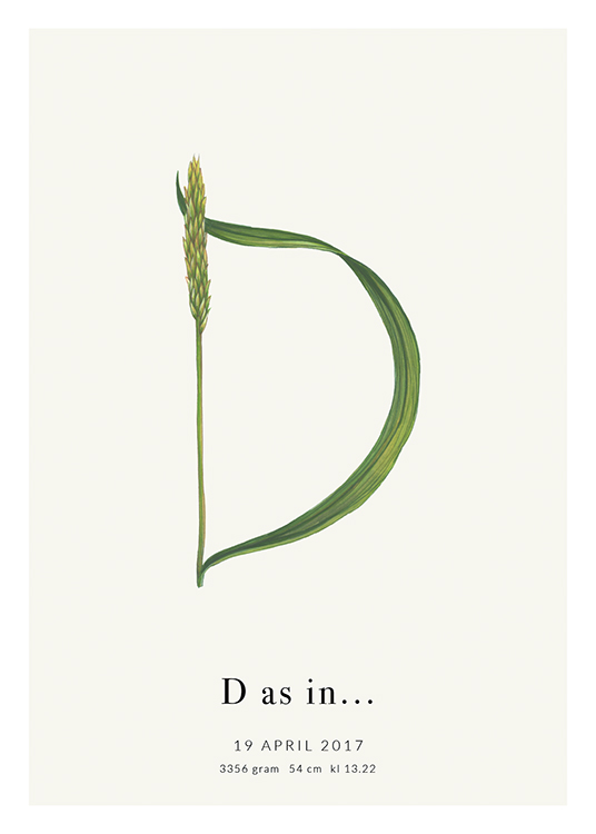  – Plante verte formant la lettre D, avec du texte en bas