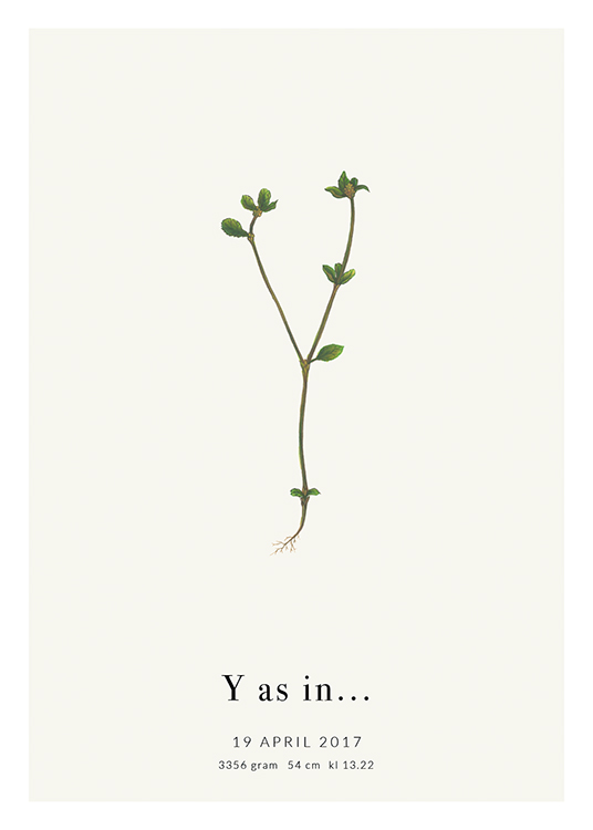  – Lettre Y formée par une plante, avec du texte en dessous