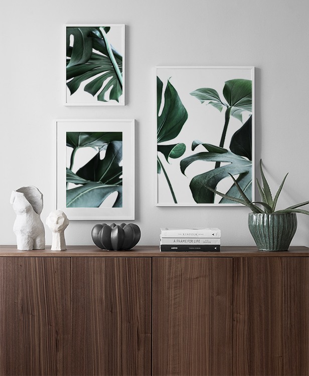 Inspiration pour déco botanique avec feuilles de monstera