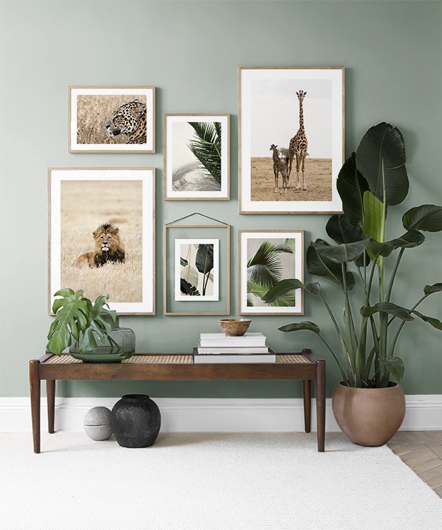 Salon vert avec plantes